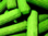 Igel-Stacheln grün