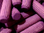 Igel-Stacheln violett